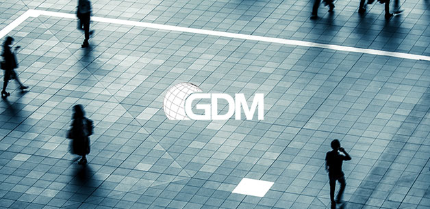 GDMについて；会社概要